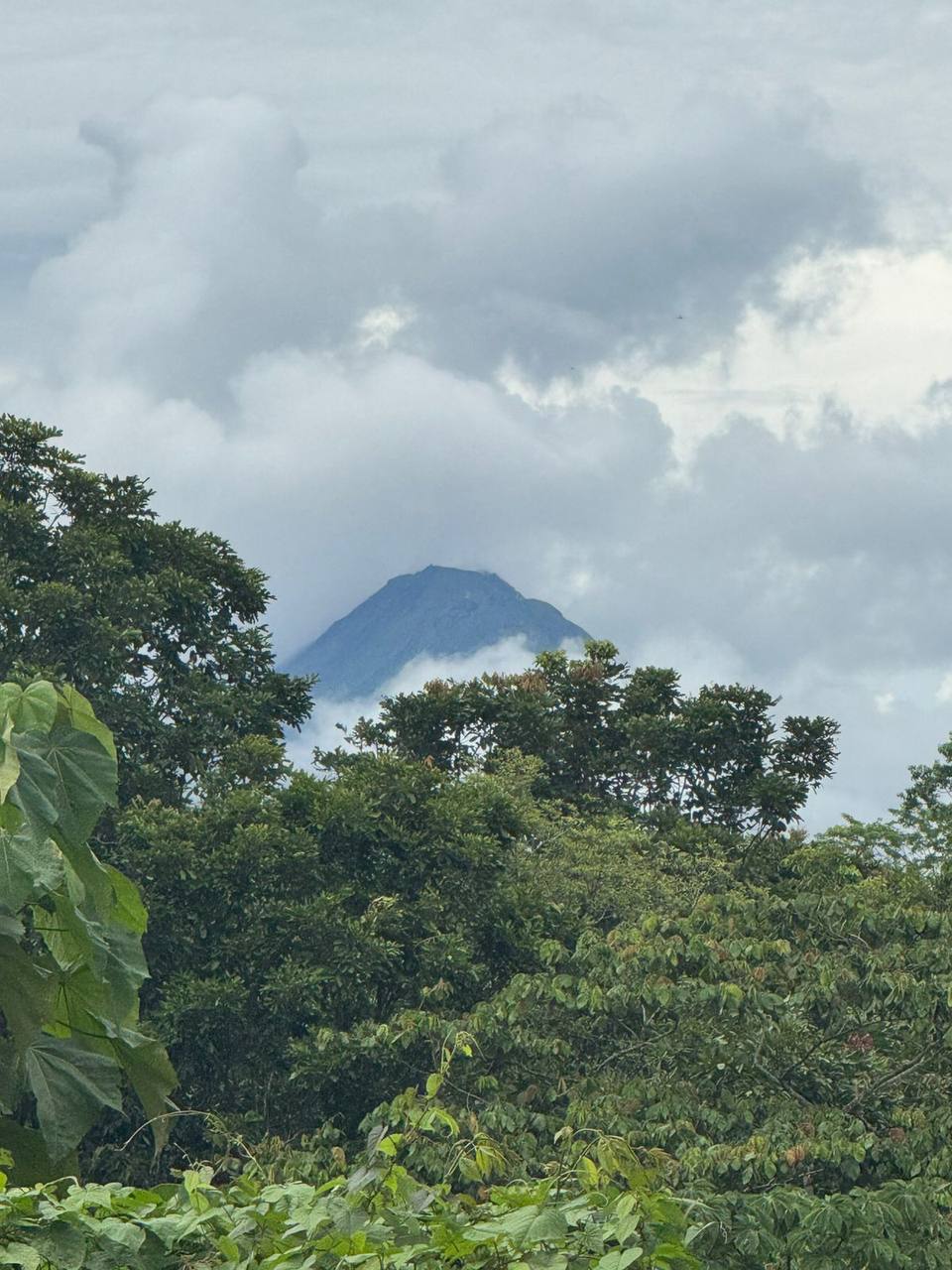 Scenic view of a volcano partially covered by clouds surrounded by lush vegetation